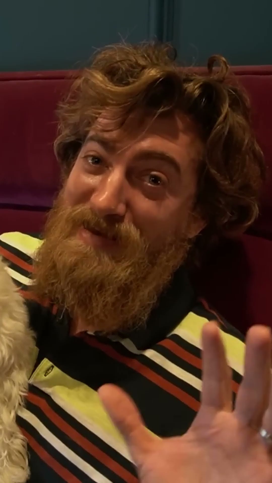 Rhett's Dog Meets A Cat